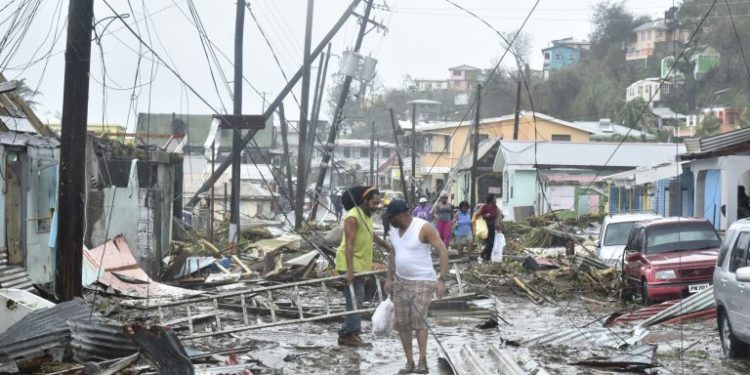 Caribbean Nations Have the Solutions, Need the Financing at COP28