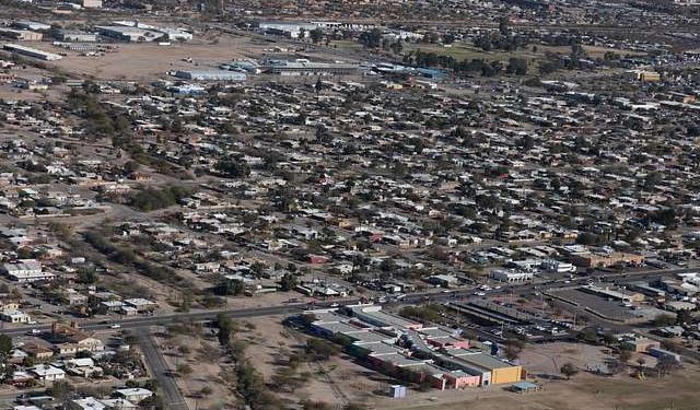 In Sweltering, Shadeless Tucson, Urban Trees Deliver Heat Relief, Local Food