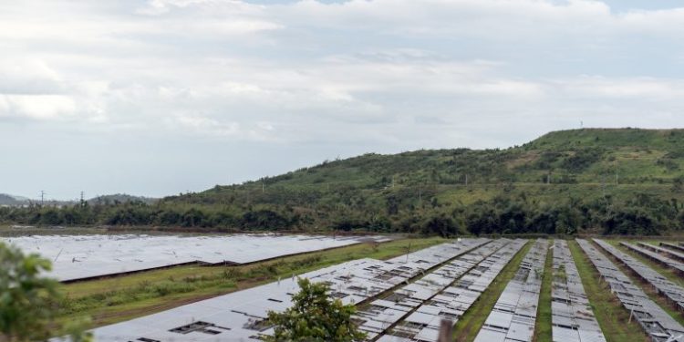 Puerto Rico’s 100% Renewables Expansion Can Spare Farmland, Study Finds