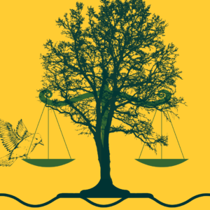 The Rights of Nature – It’s Weird Not to Acknowledge Them