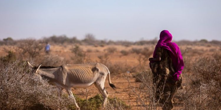 El Niño Weakens, GHGs the ‘Main Culprit’ after Record Year Of Heat, Drought, Wildfires