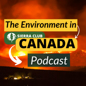 The Carbon Tax Lie