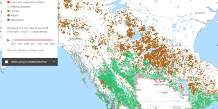 Map of the Month: The ‘Nuanced’ Rise and Fall of Canada’s Tree Cover