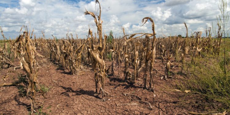 Study Projects $38T Annual Cost of Climate Change as ‘Rain Bomb’ Submerges Dubai