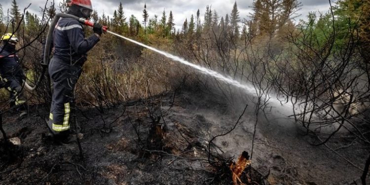 Drought Fuels Wildfire Concerns as Canada Braces for Another Intense Summer
