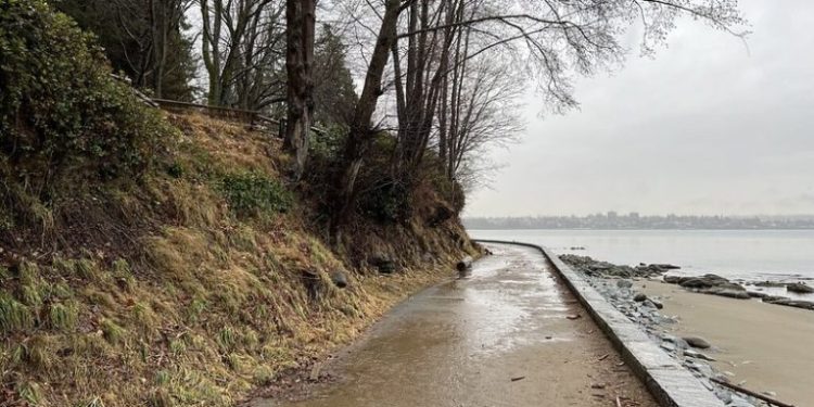 Coastal Communities in Canada Brace for Rapidly Rising Seas