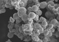 U.S. Battery Startup Discovers Breakthrough Method to Decarbonize Steel
