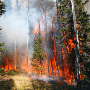 Help counter misinformation on the emissions cap impact!