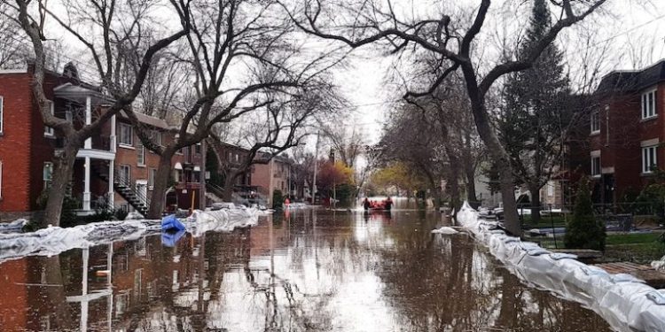 Quebec’s New Flood Maps, Montreal’s 2050 Vision Point to Higher Risk, Future Hope