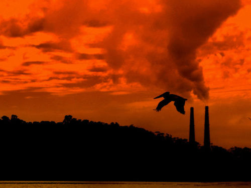 Make New Fossil Fuel Projects Taboo to Meet Paris Goals, New Report Urges