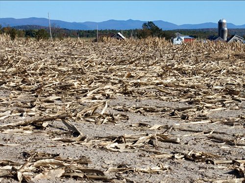 Water Supplies Face ‘Day Zero’ as Drought, Heat Dome Hit Mexico City and Bogotà