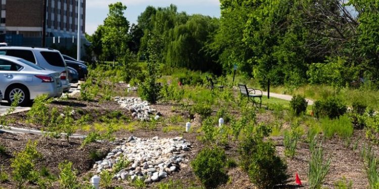 Cool, Green Infrastructure Can Beat Urban Heat and Drought, Experts Say