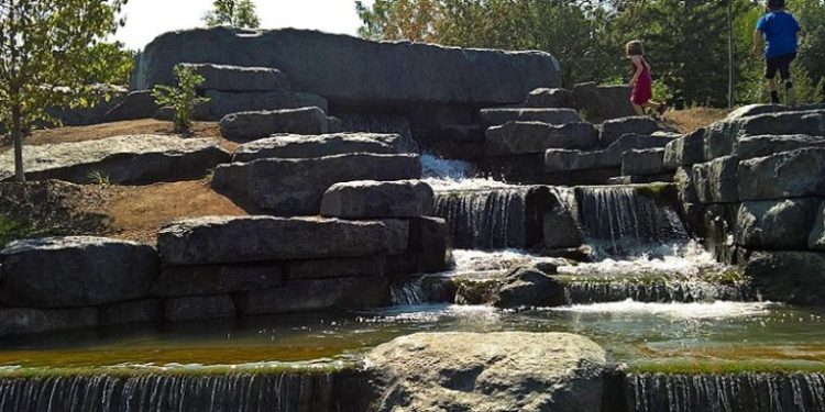 Protecting, Restoring Wildlife in Urban Parks Attracts Visitors, Budget Dollars