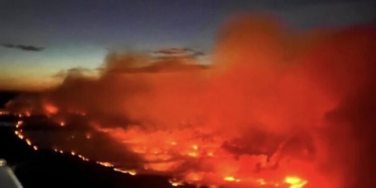 Wildfire Smoke Increases Dementia Risk, 10-Year Study Shows