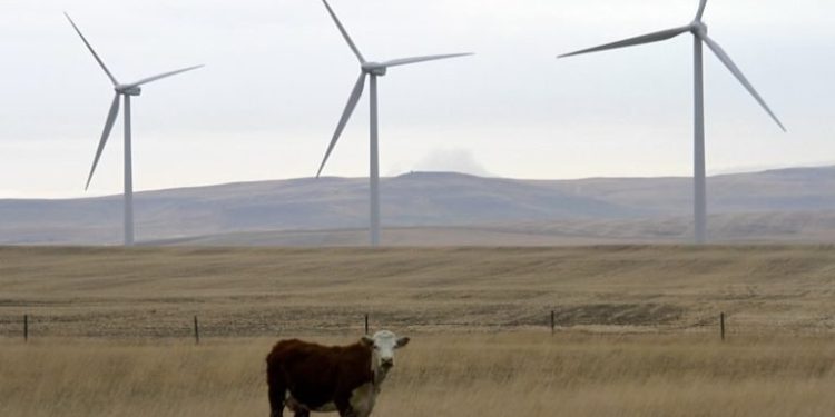 BREAKING: Alberta Moratorium Costs Communities $91M in Tax Revenue, Cancels 53 Renewables Projects
