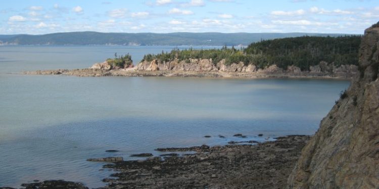 Bay of Fundy Claims Another Tidal Developer as Occurrent Files for Bankruptcy