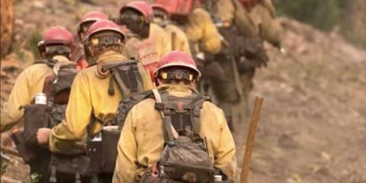 Wildfire Fighters Need Equipment, More Training, Better Pay, Groups Tell Ottawa