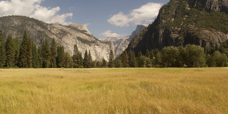 Restoring Nature Delivers Huge Economic Dividends and Canadians Are Onboard, New Report Says