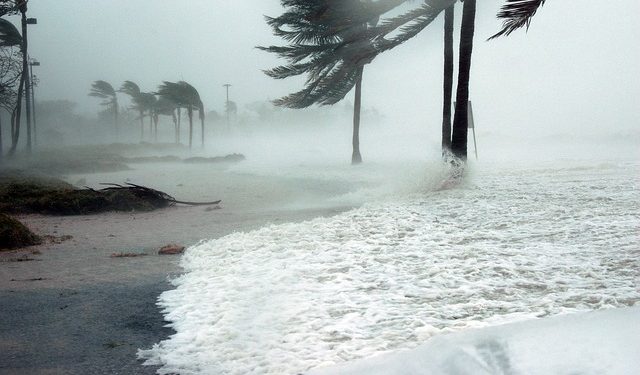 2024 Climate Report Signals Escalating Crisis Amid Record Heat, Failing Ecosystems