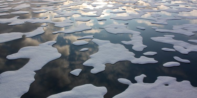 Arctic Emits More Carbon Than It Stores as Warming Hits Canada’s Winter Economy