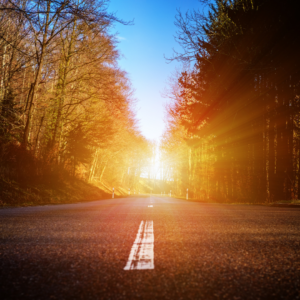 Hope & Ways Forward for the Environment on Giving Tuesday 2024