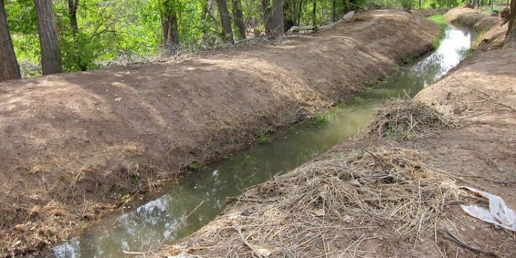 Drought Puts New Mexico’s Longstanding Communal Irrigation System at Risk
