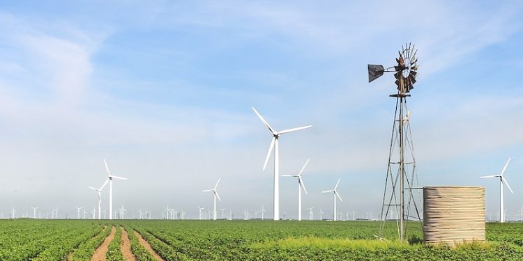 Texas Moves on Renewables While Alberta’s Oil Ties Hold Firm