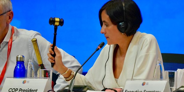 COP 16 Produces $200 Billion a Year Plan to Protect Nature