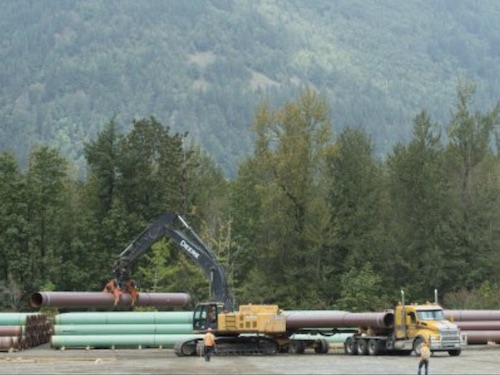 Wilkinson, Health Expert Scorch Oil CEOs for Demanding Deregulation