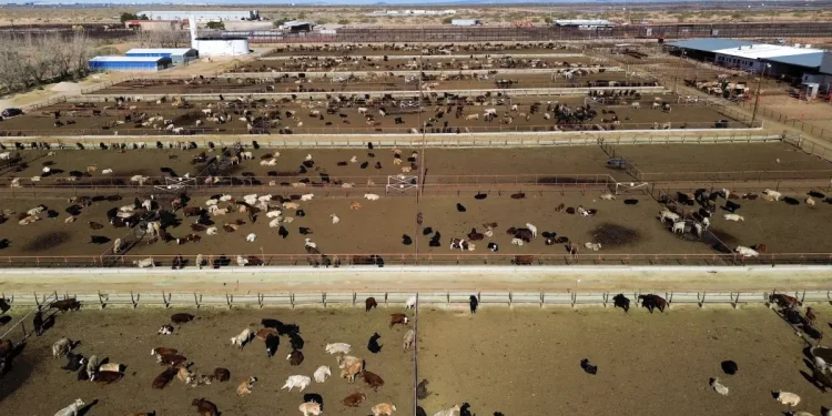 Trump’s Climate Denial May Help a Livestock-Killing Pest Make a Comeback