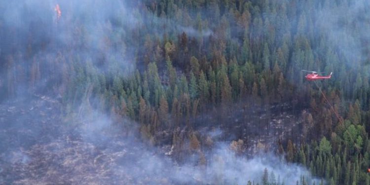 Not Just a Bad Fire Season: A Personal Wake-Up Call for a Warming World