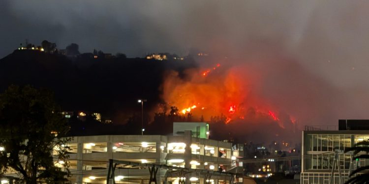 Pollution from Wildfires Can Contaminate Water for Up to 8 Years, Study Finds