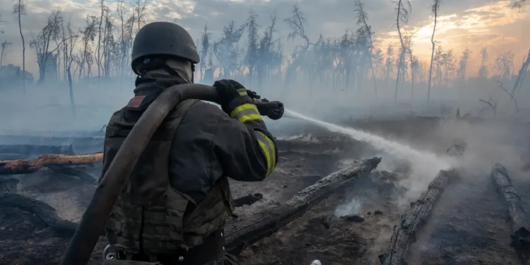 Three Years of War Devastate Ukraine’s Forests—And the People Who Rely on Them