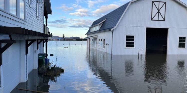Ottawa’s Plan for Climate Adaptation Is Falling Short, Report Says