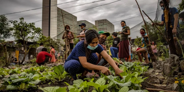 Cities Take the Lead as Nations Lag on Climate Action