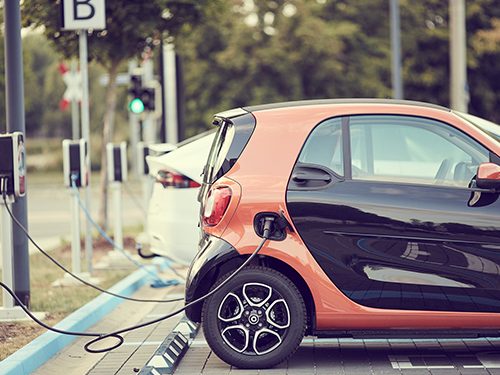 Advocates Urge Ottawa to Back Affordable EVs, Not Block Them