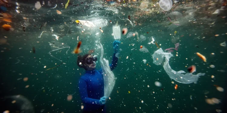 The Oceans May Contain Much More Plastic Than Previously Thought