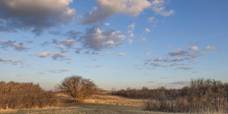 ‘Everything is Dying’: Prairie Farmers Struggling With Yearly Droughts
