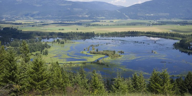 Canada Must Improve Environmental Reviews to Speed Up Major Projects