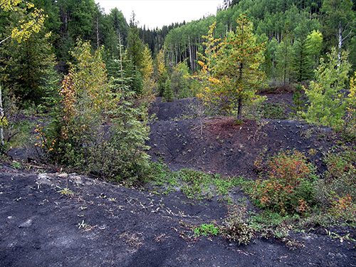 Alberta Regulator Faces Court Challenge Over Cancelled Coal Mine Hearing