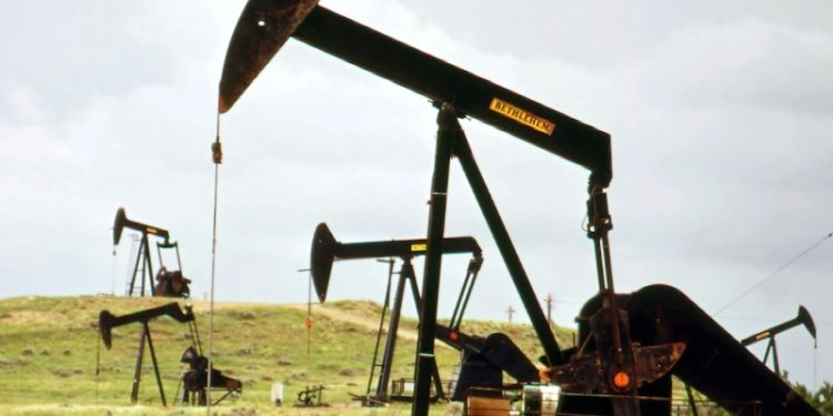 A TRILLION MORE BARRELS OF OIL: New AI Tool Would Trigger 400 Billion Tonnes of Climate Pollution