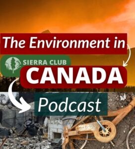 Ksi Lisims LNG is NOT Nation-Building: Trump’s Friends May Benefit, But We Pay the Price