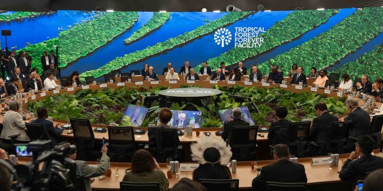 Are Climate Talks Worth It? Project Drawdown’s 6 Takeaways from COP30