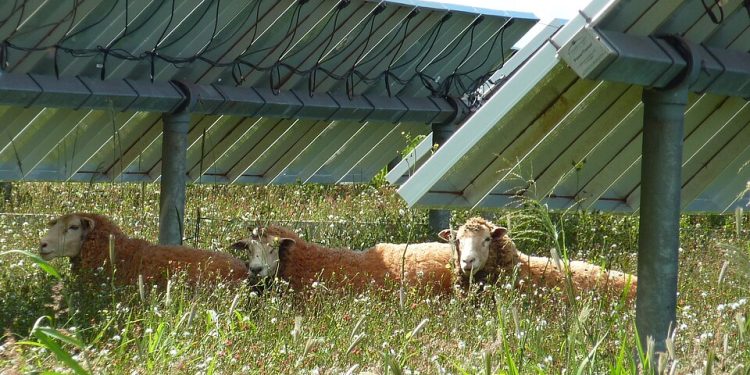 What Solar Panels Make Possible