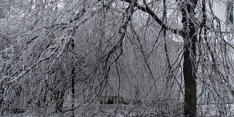 Severe Weather in Canada Caused More Than $2.4B in Insured Losses in 2025