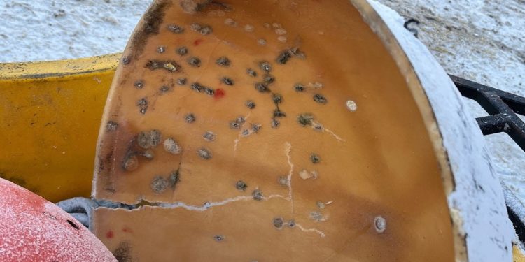 Firearms Damage Found on Power Line That Led to Pimicikamak Outage: Manitoba Hydro