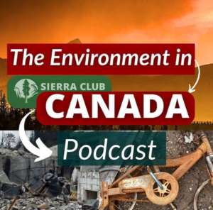 Rojava vs. Syrian Government Attacks & Ethnic Cleansing (Part 2)