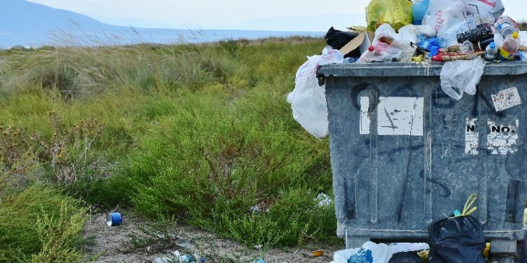 Ottawa Wins Federal Court Appeal Allowing Single-Use Plastics Ban to Stand