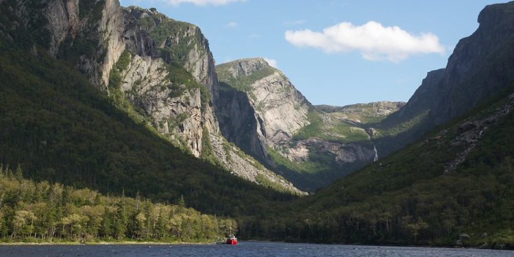 Axing N.L. Ocean Conservation Site a ‘Blow’ to National Goals, Say Environment Groups