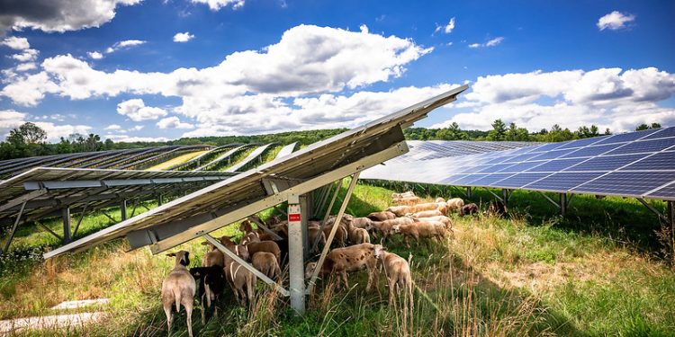 Phantom Public Comments Threaten Ohio Solar Farm
